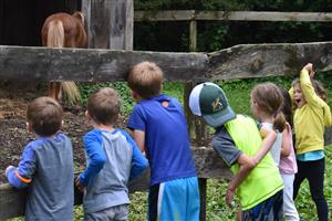 kids looking at pony